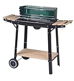 aro Holzkohle Grillwagen, Stahl/Holz, 2 Grillroste und 2 Seitenablagen, Holzgriffen, mit 2 Räder, Windschutz, grün (grün)