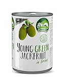 Nature’s Charm Jackfrucht in Lake I Salzig eingelegte, junge grüne Jackfruit I Ideal als pflanzlicher Fleischersatz für vegane Bowls, Sandwiches und Pfannengerichte I 1 x 565 g